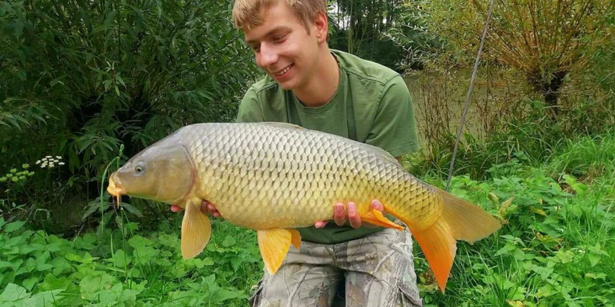 Dominik na pískovně