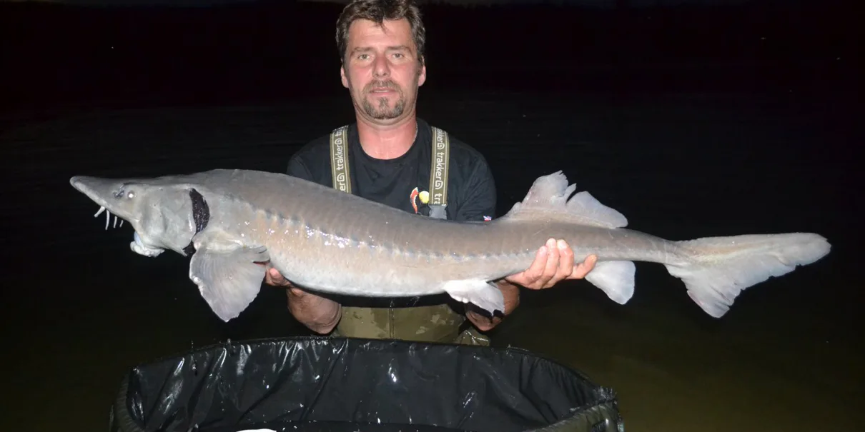 Jeseteří radovánky